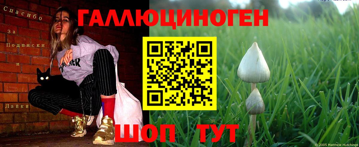 Псилоцибиновые грибы Cubensis Кирово-Чепецк
